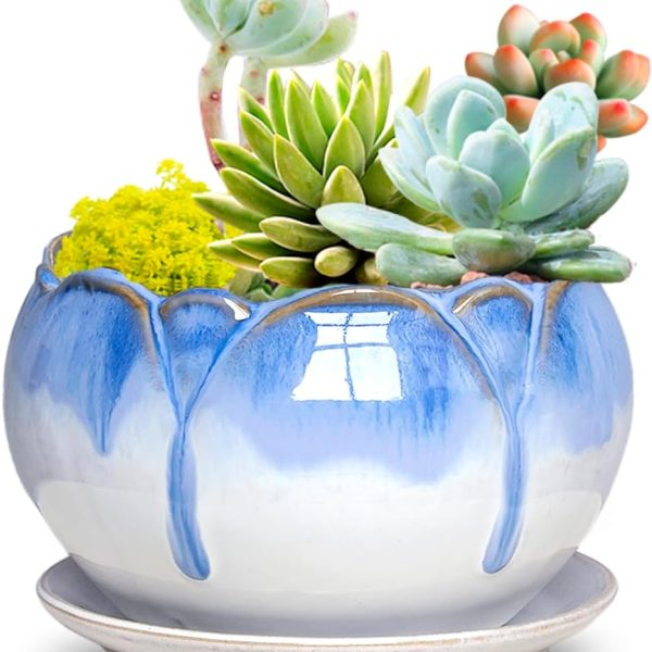 Dahlia 5.5'' Inch Rustic Drip Glazed Ceramic Planter/Succulent Pot/Plant Pot w. Saucer/Tray, White