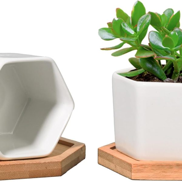 Small White Succulent Planter Pots with Bamboo Tray Hexagon Set of 2, Geometric Ceramic Cactus Plant Holder, Succulent Plant Gifts for Gardener Women Coworker, Home Office Table Desk Decoration