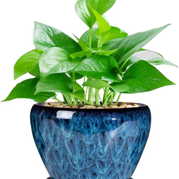 Ceramic Modern Glaze Succulent Planter Pot with Drainage Hole and Saucer 6 Inch Round Flower Plant Pot for Indoor Outdoor Herb Snake Plants