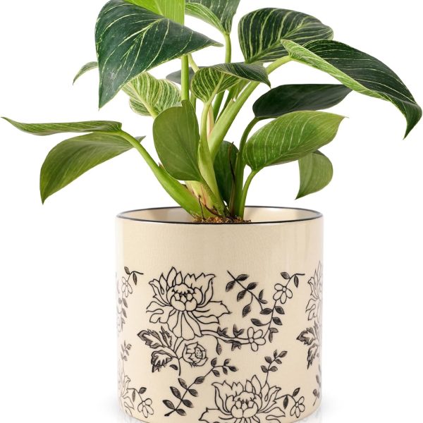 Indoor Ceramic Plant Pots with Drainage Holes 5 Inch Cute Succulent Flower Pots Small Orchid Planter Pots for Indoor Plants Garden Pots, Peony