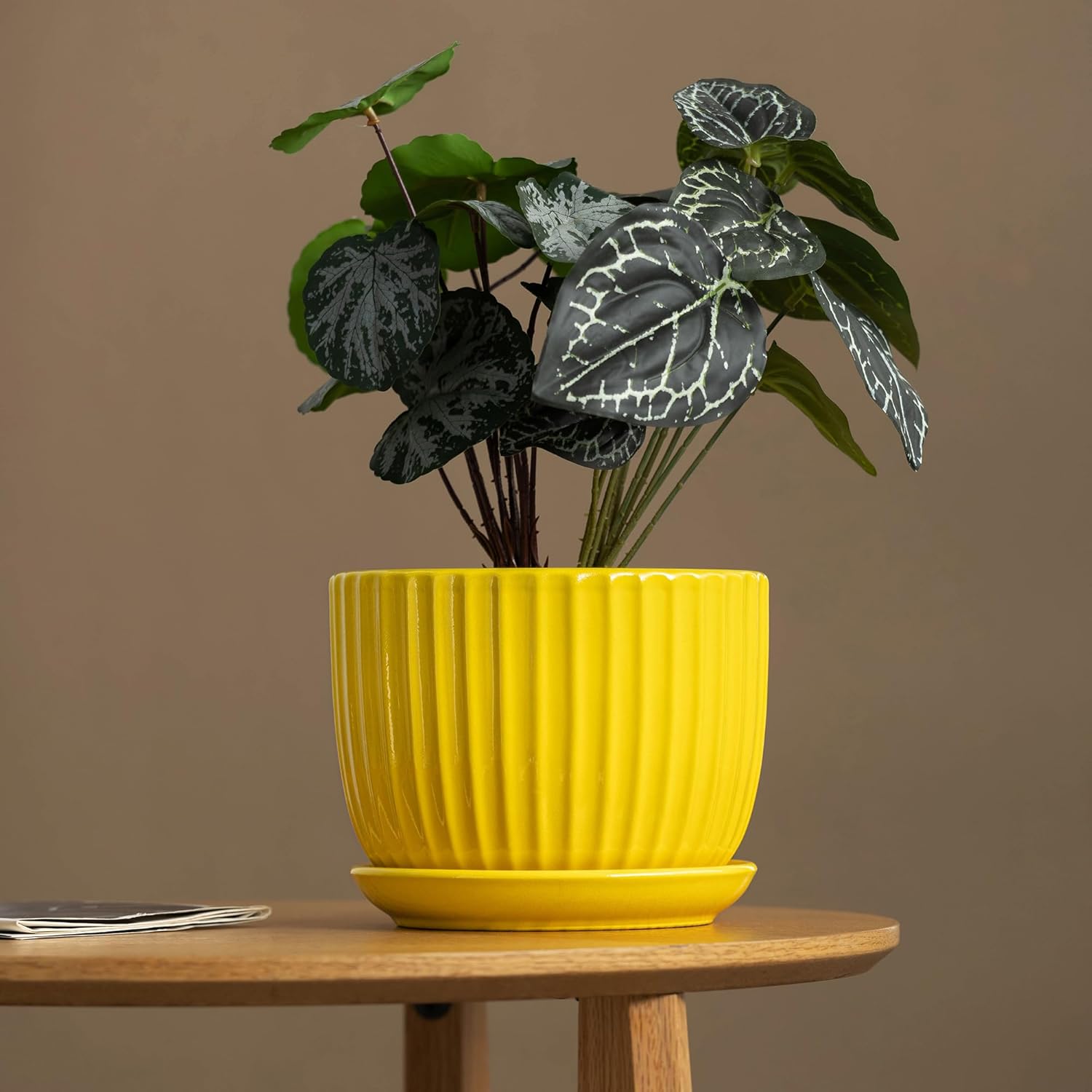 Ceramic Flower Pots,Yellow Plant Pots for Indoor Plants,4.1+5.1+6.5 inch Ceramic Plant Pots with Tray,Medium Indoor Planters for Aloe Cactus Decorative Pots with Drainage Hole (Set of 3) - Image 2