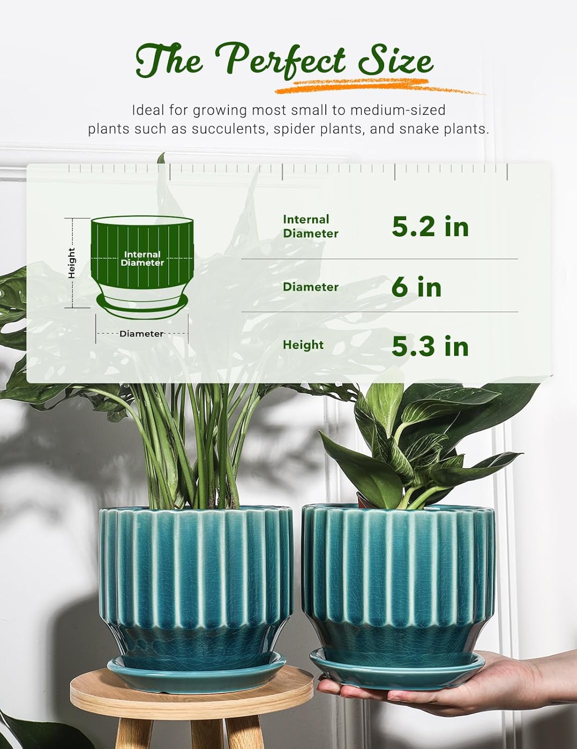 Plant Pots 6 inch Ceramic Pots for Indoor Plants Set of 2 Flower Pots Unique Crackle Glaze Design Plant Pots with Drainage Hole and Saucer Come with Drainage Nets (Aqua Green) - Image 2