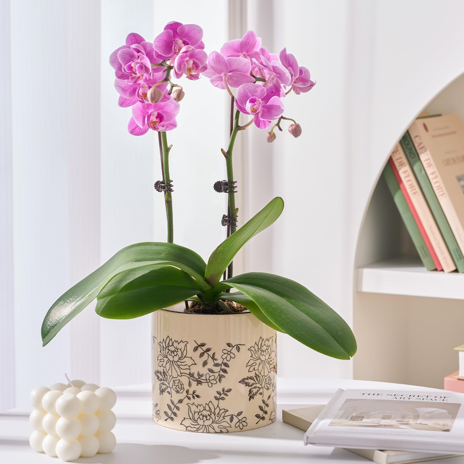 Indoor Ceramic Plant Pots with Drainage Holes 5 Inch Cute Succulent Flower Pots Small Orchid Planter Pots for Indoor Plants Garden Pots, Peony - Image 2