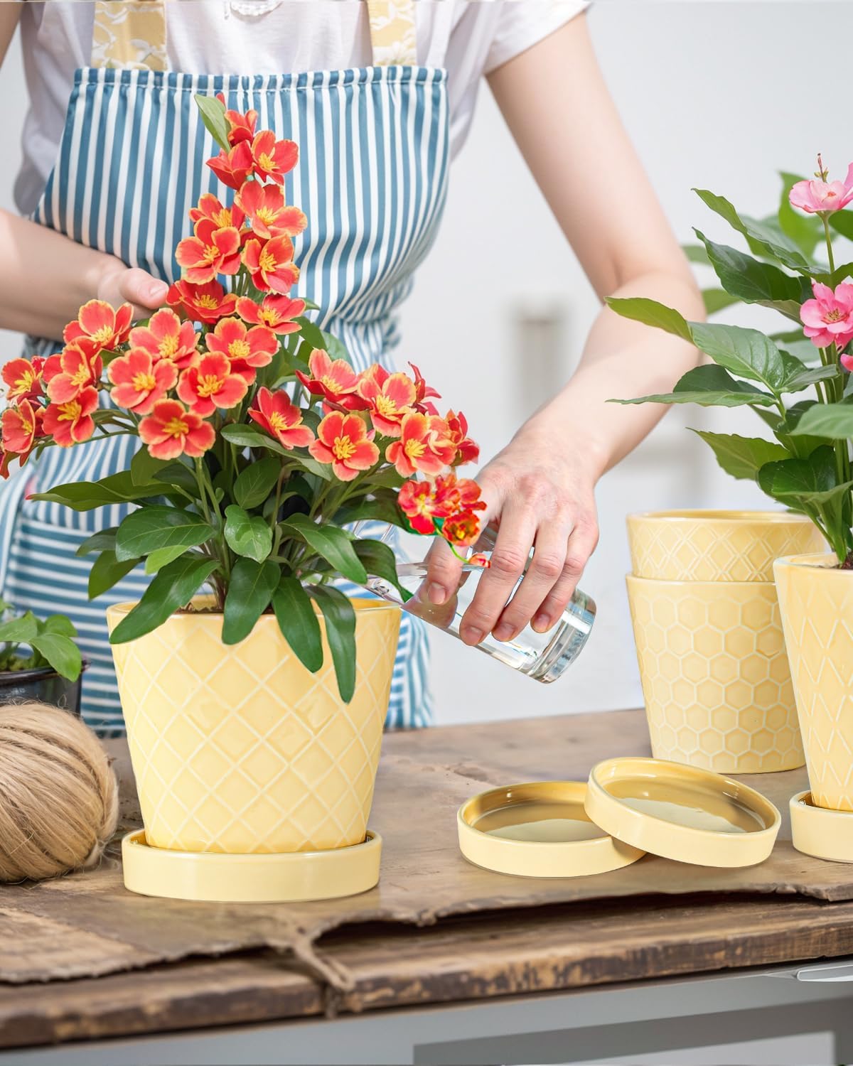 Ceramic Plant Pots –5 inch Indoor Flower Pot with Drainage Hole and Ceramic Tray - Gardening Home Desktop Office Windowsill Decoration Gift, Set of 4-Plants NOT Included(Yellow) - Image 2