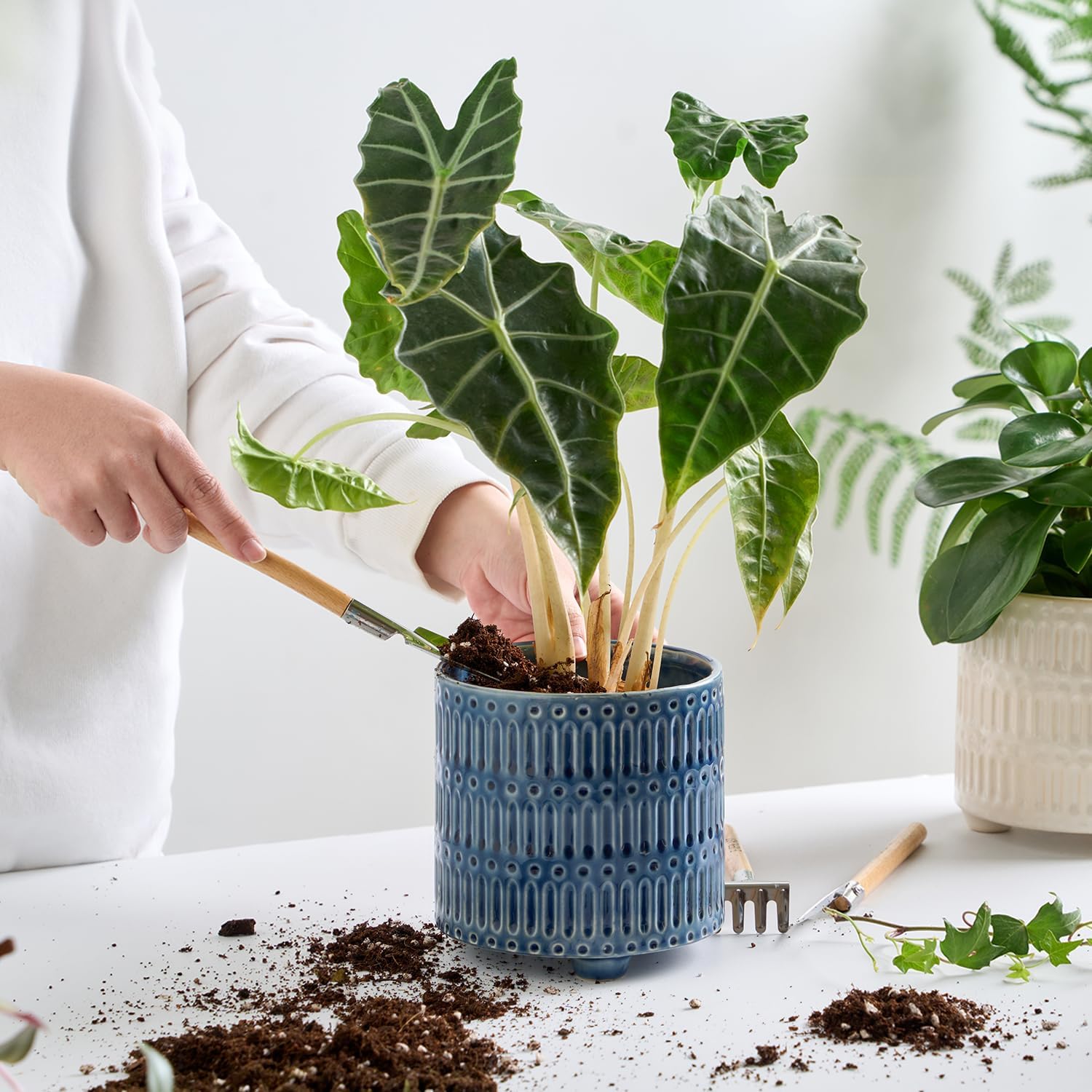 5 Inch Ceramic Planters for Indoor Plants, Blue Cactus Snake Plant Pots with Drainage, Unique Design Round Flower Pot for Home Decoration - Image 2