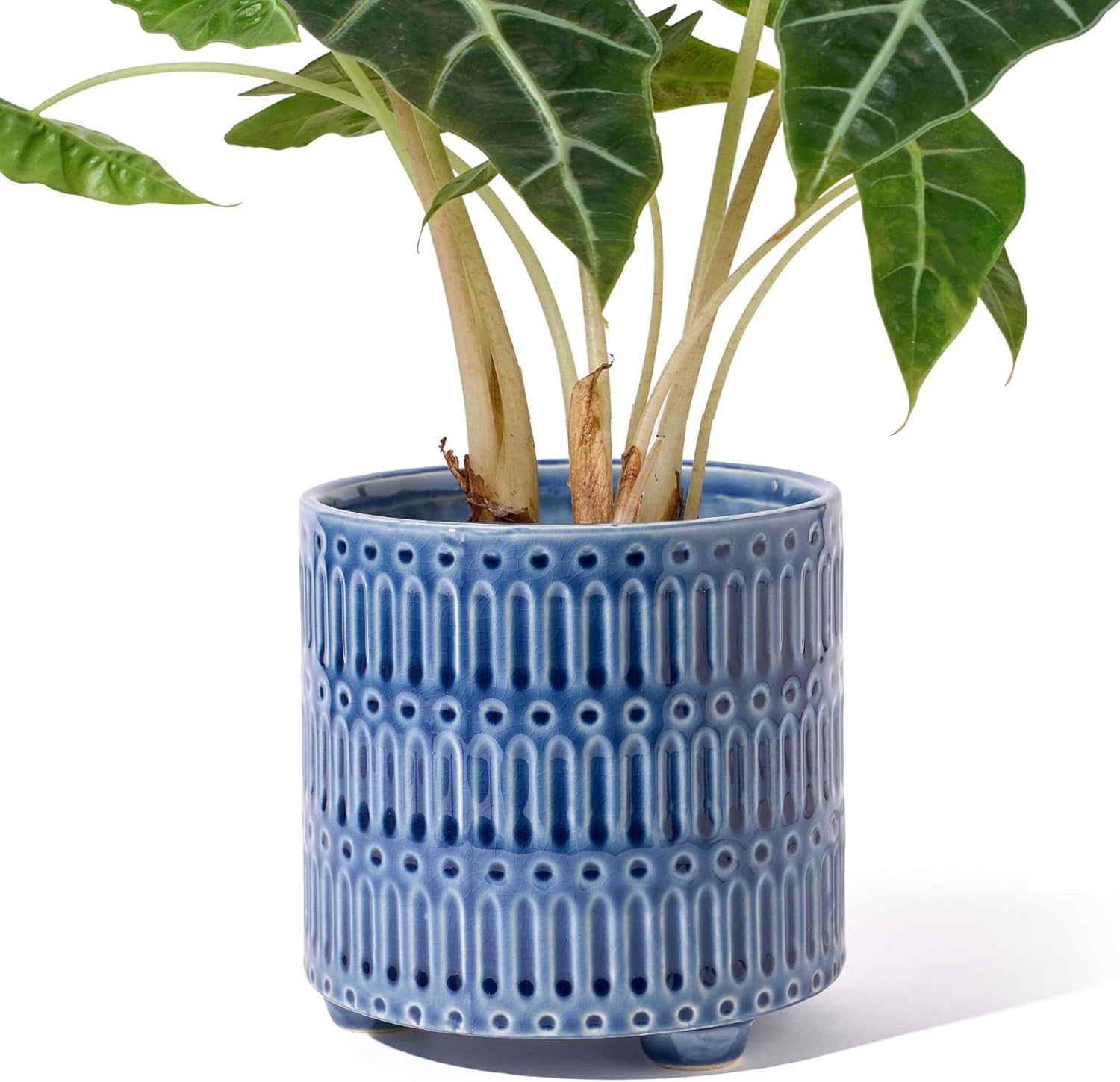 5 Inch Ceramic Planters for Indoor Plants, Blue Cactus Snake Plant Pots with Drainage, Unique Design Round Flower Pot for Home Decoration