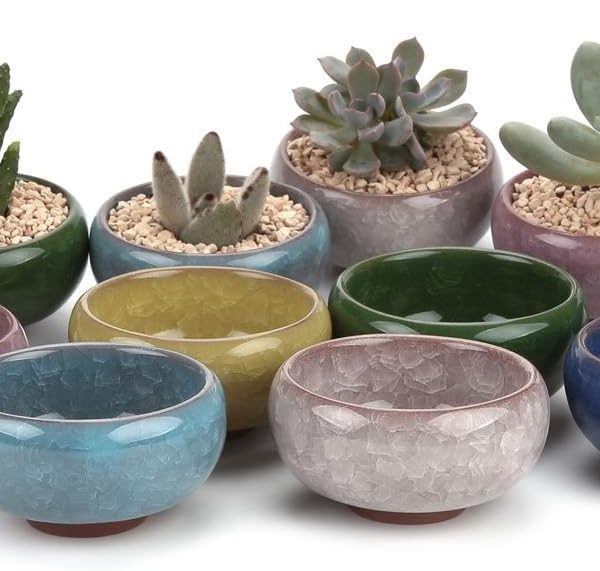 2.5 Inch Small Ceramic Succulent Planter Pot with Drainage Hole Set of 12, Ice Crack Glaze Plant Container for Cactus, Plant Lover Gifts for Women Mom Aunt Home Office Decor