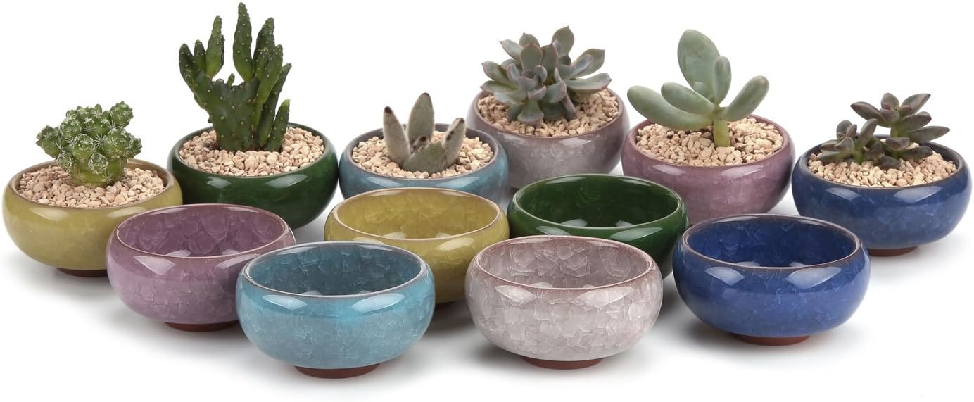 2.5 Inch Small Ceramic Succulent Planter Pot with Drainage Hole Set of 12, Ice Crack Glaze Plant Container for Cactus, Plant Lover Gifts for Women Mom Aunt Home Office Decor