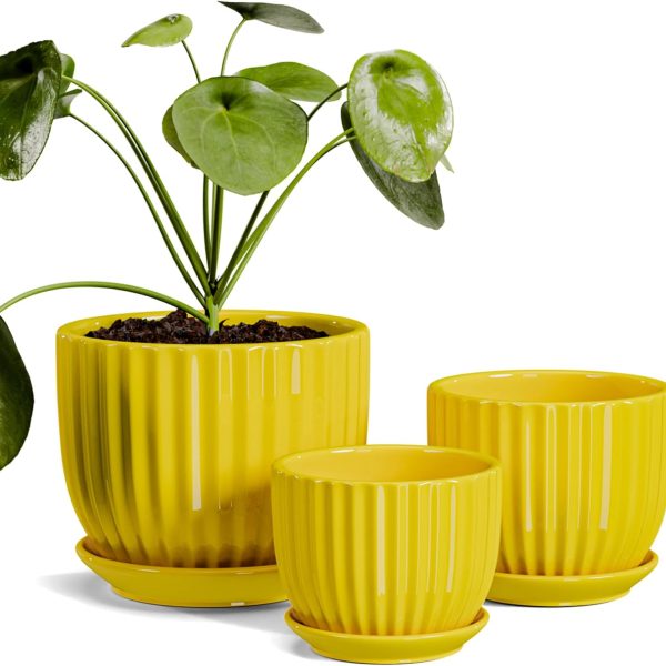 Ceramic Flower Pots,Yellow Plant Pots for Indoor Plants,4.1+5.1+6.5 inch Ceramic Plant Pots with Tray,Medium Indoor Planters for Aloe Cactus Decorative Pots with Drainage Hole (Set of 3)