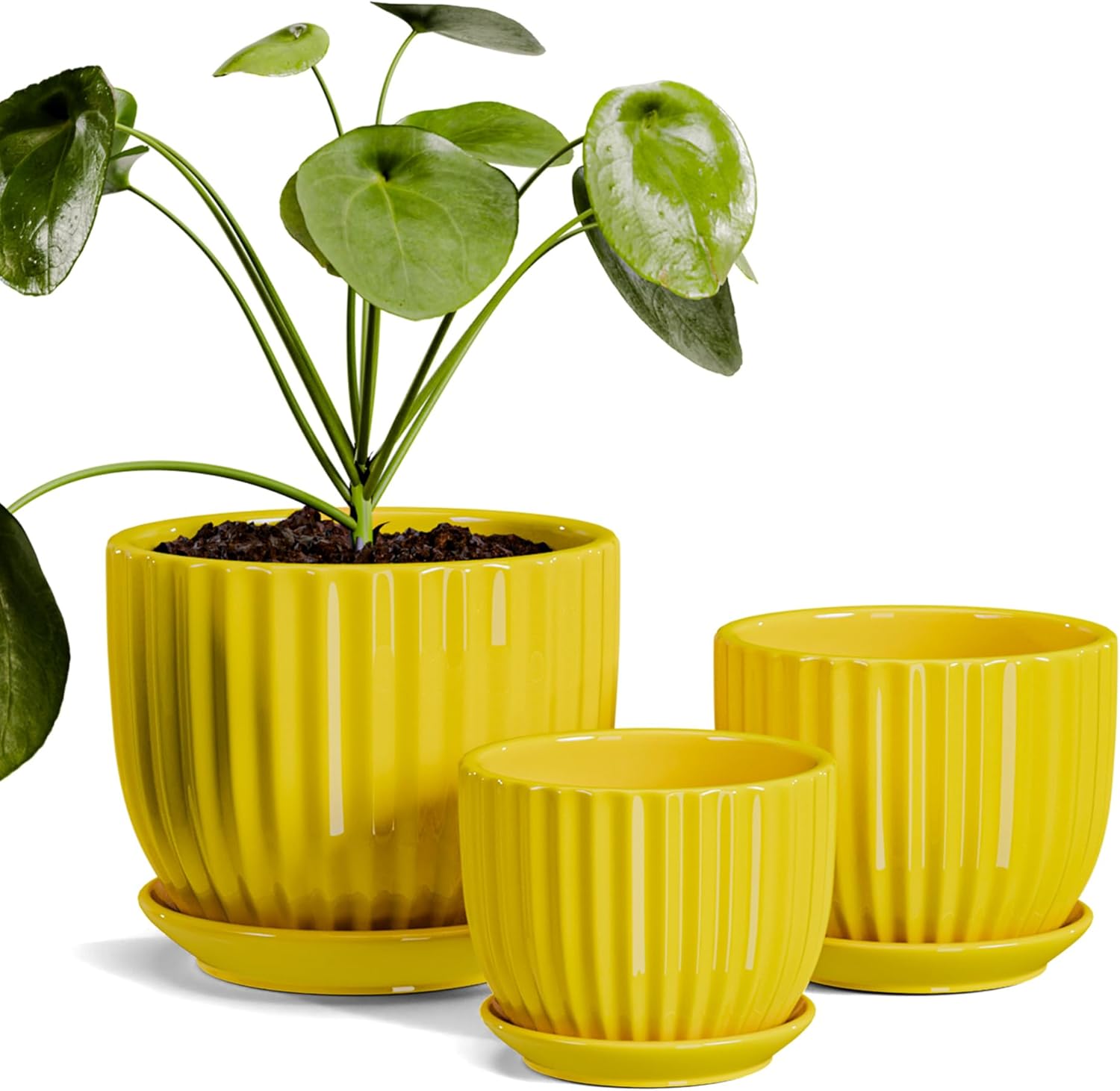 Ceramic Flower Pots,Yellow Plant Pots for Indoor Plants,4.1+5.1+6.5 inch Ceramic Plant Pots with Tray,Medium Indoor Planters for Aloe Cactus Decorative Pots with Drainage Hole (Set of 3)