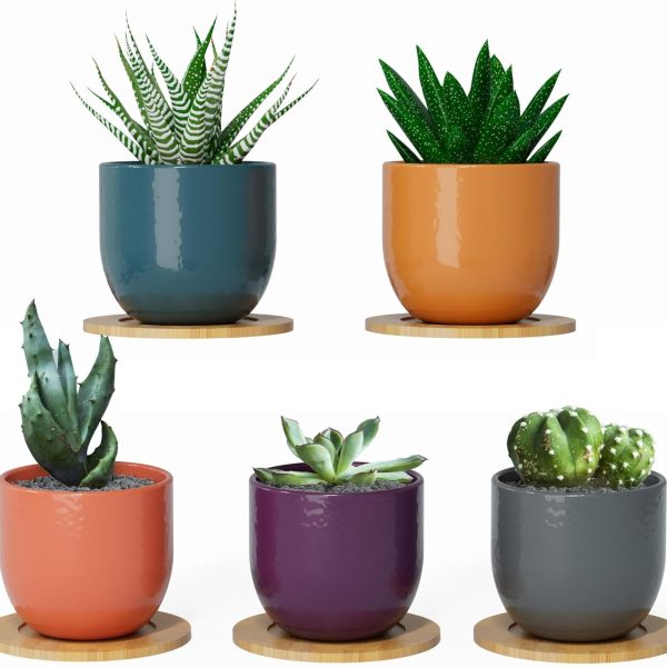 Small Ceramic Plant Pots for Indoor Succulents, Bamboo Coasters, 2.5in H x 2.9in W, Set of 5, Sunrise Aesthetic Decor Theme, with Drainage Hole, Plants Not Included