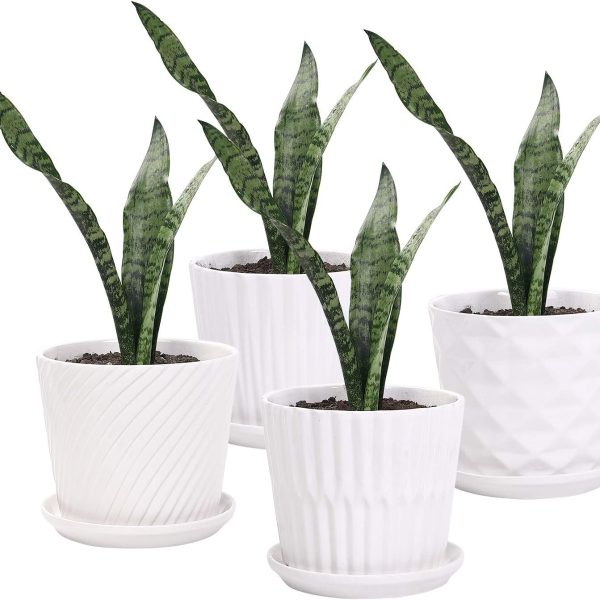 Plant Pots - 5.5 Inch Cylinder Ceramic Planters with Connected Saucer, Pots for Succuelnt and Little Snake Plants, Set of 4, White